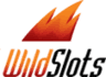 Wild slots logo